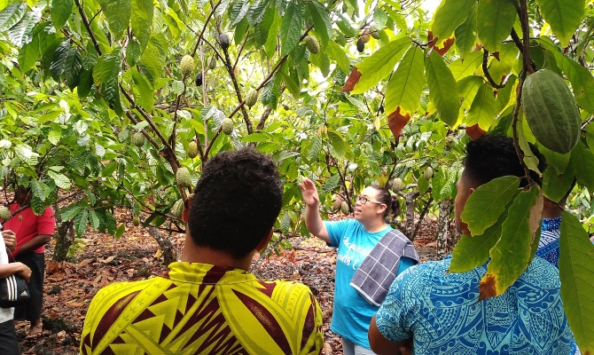 Youth Farmers Learn Of The Impacts Of Weather And Climate On Cocoa ...