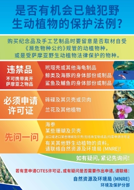 think-before-you-leave-samoa-chinese-version