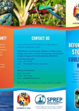 Brochure English version - Before you leave Tonga stop and think...
