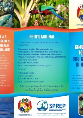 Brochure Tongan version - Before you leave stop and think...