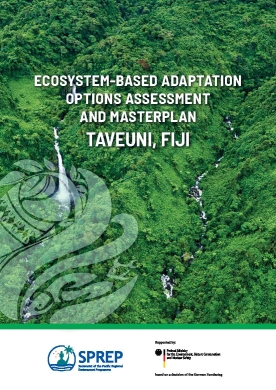 Ecosystem-based adaptation options assessment
