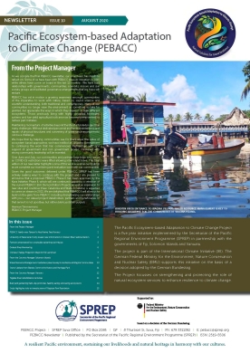 PEBACC newsletter issue 10 - August 2020 
