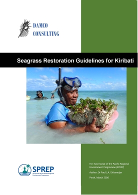 Guidelines seagrass restoration - Kiribati 