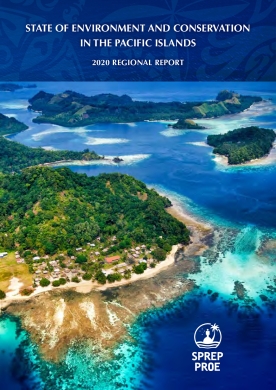 SOEC Regional report 2020
