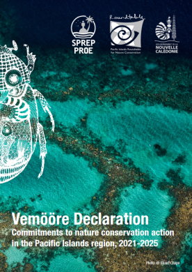 vemoore declaration_eng