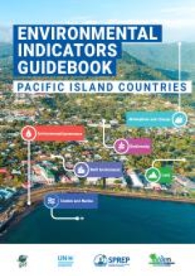 Environmental indicator guidebook 