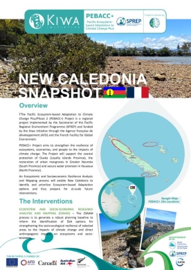 PEBACC-snapshot-New-Caledonia