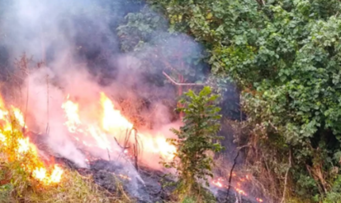 New Caledonia fire management