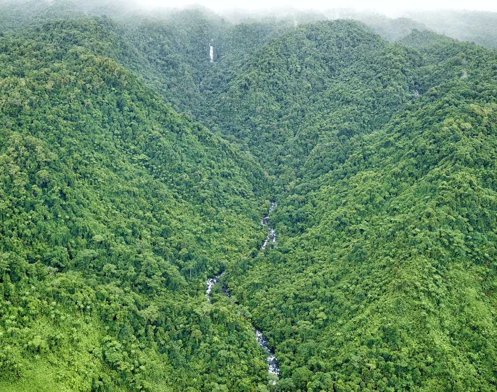 Upland forested watershed, east Coast Taveuni